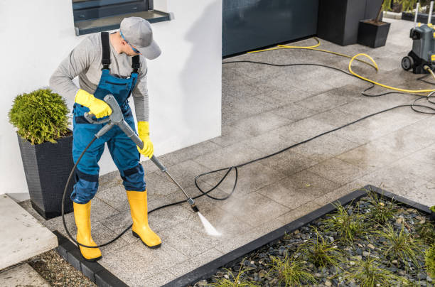 Best Pressure Washing Near Me  in Forest, VA